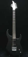 caparison dellinger 2 hgs 2.jpg